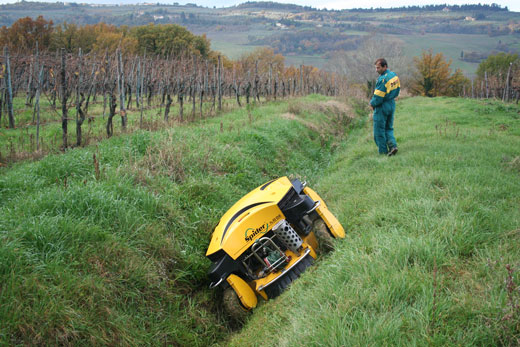 Spider ILD02 Drain & waterway slope mowing