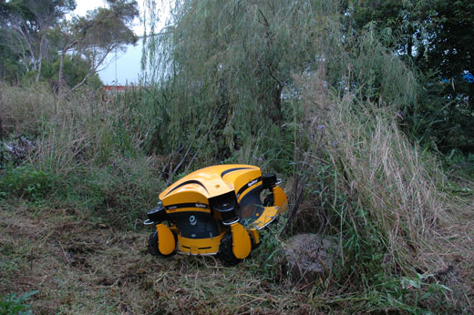 Spider ILD02 old growth mulching